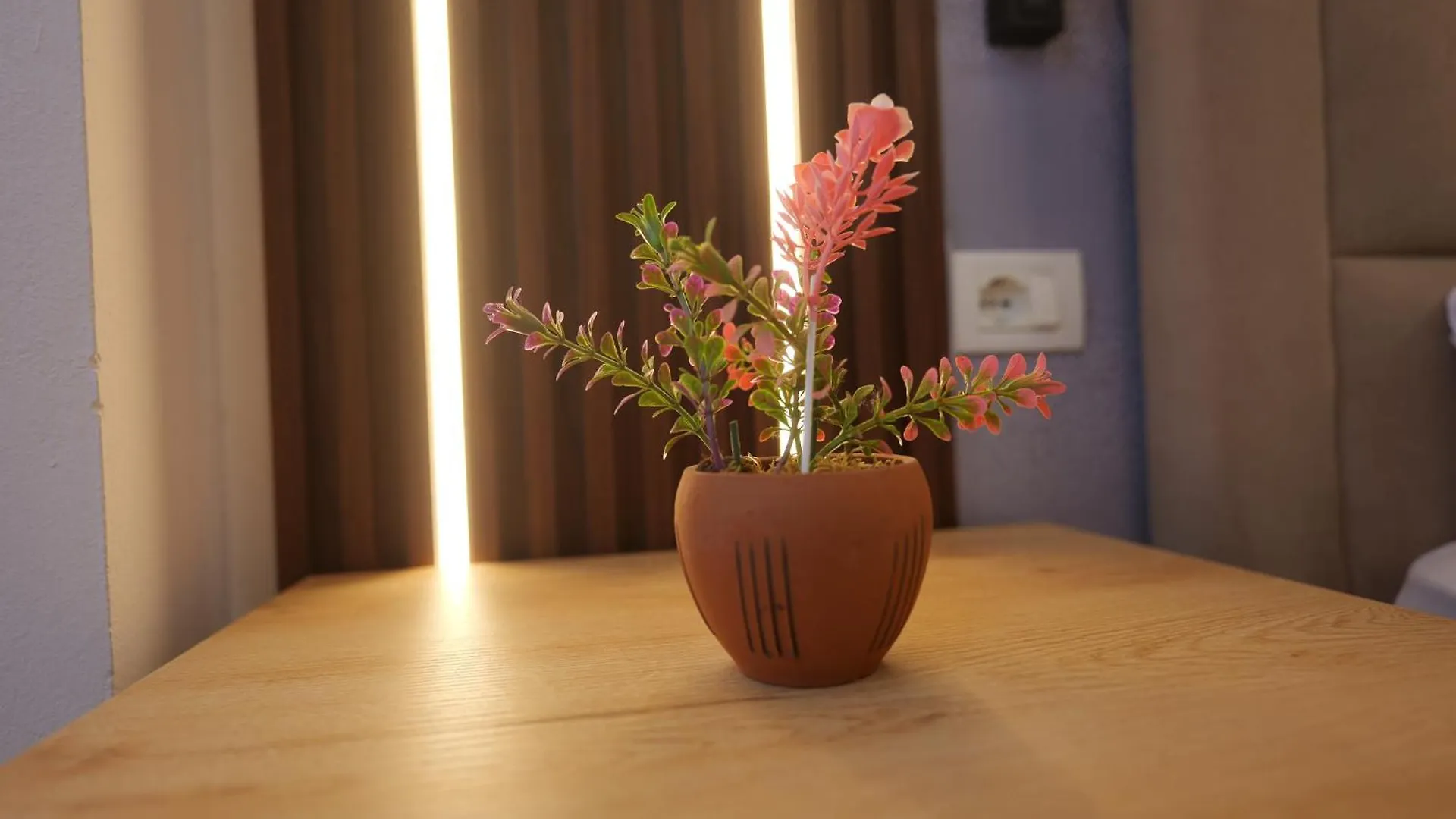 Golden Sleep Hostel Shkoder